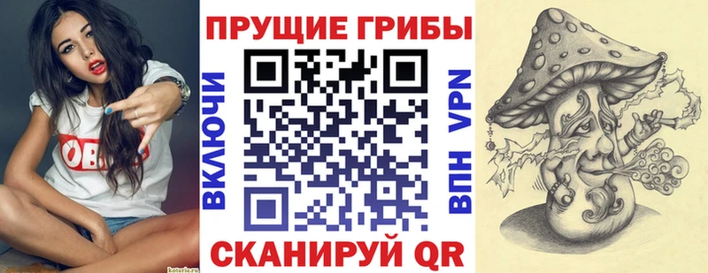 Галлюциногенные грибы прущие грибы  darknet официальный сайт  Братск  дарнет шоп 